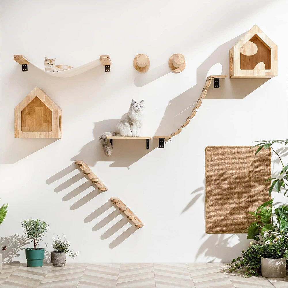 DIY Cat Highway