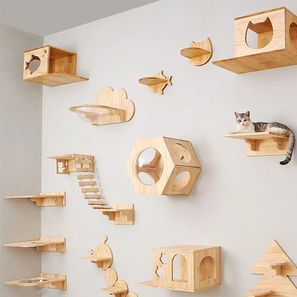 DIY Cat Highway