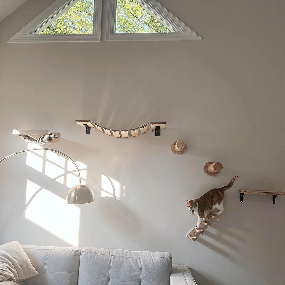 DIY Cat Highway
