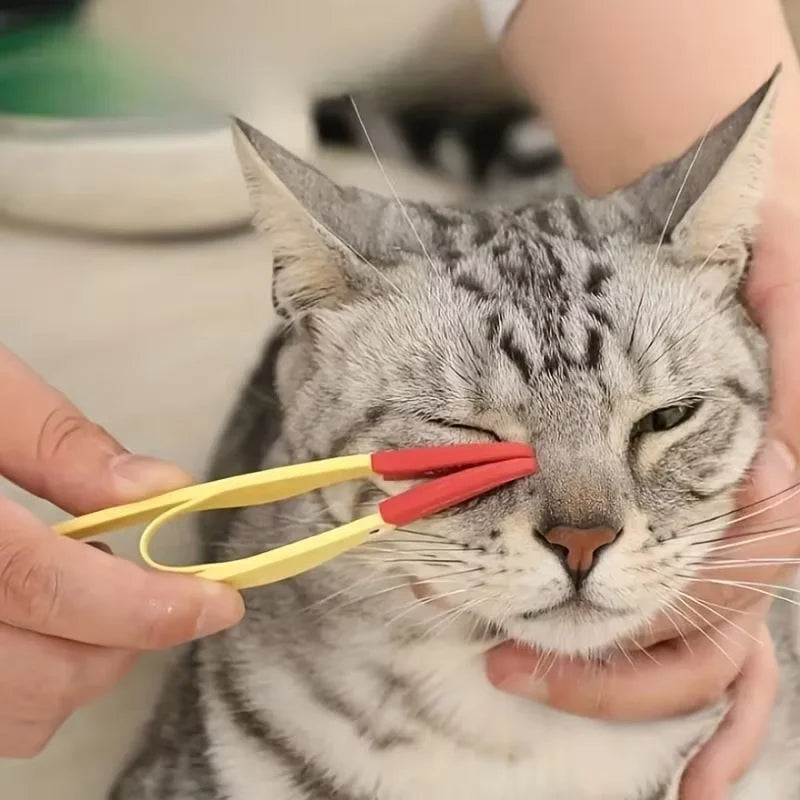 Pet Eye cleaning tool
