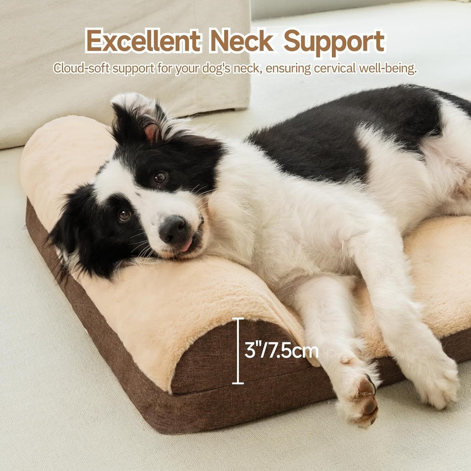 SanctuarySofa™ Orthopedic Bed – L