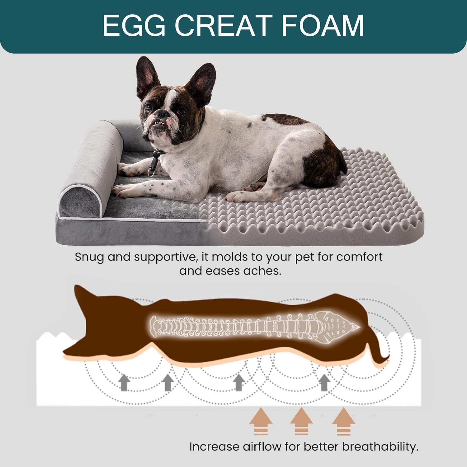 SanctuaryNest™ Orthopedic Bed – M