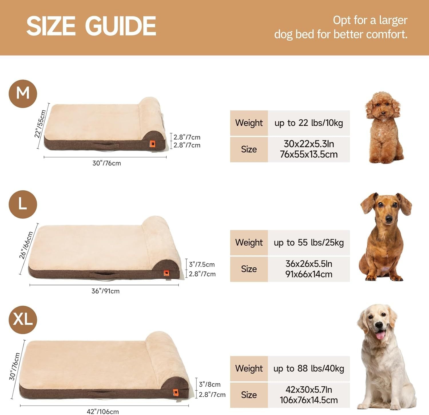 SanctuarySofa™ Orthopedic Bed – L