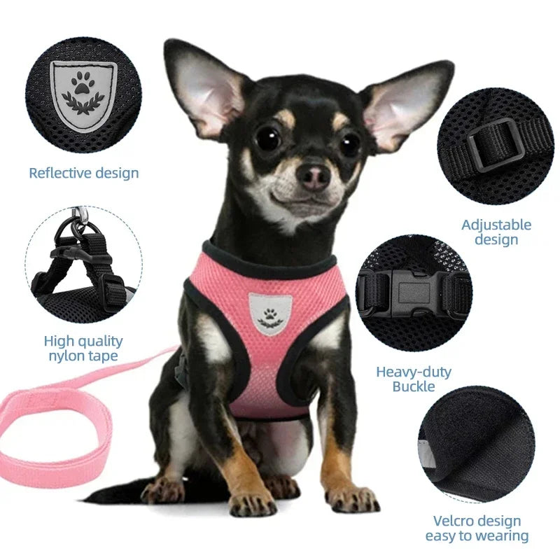 Adjustable Cat Harness and Leash Set