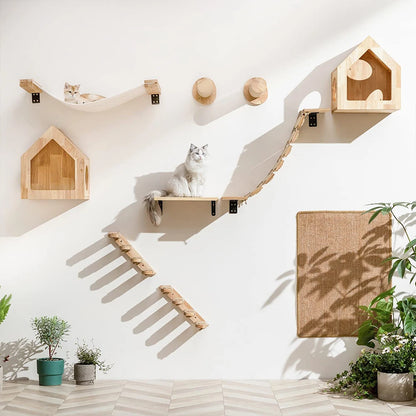 DIY Cat Highway