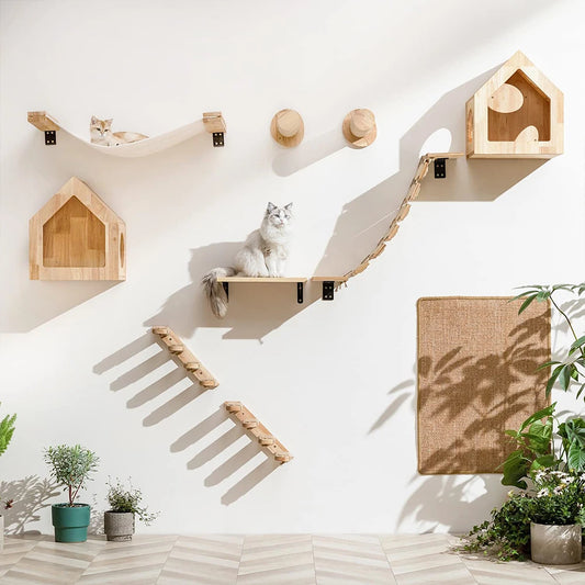 DIY Cat Highway