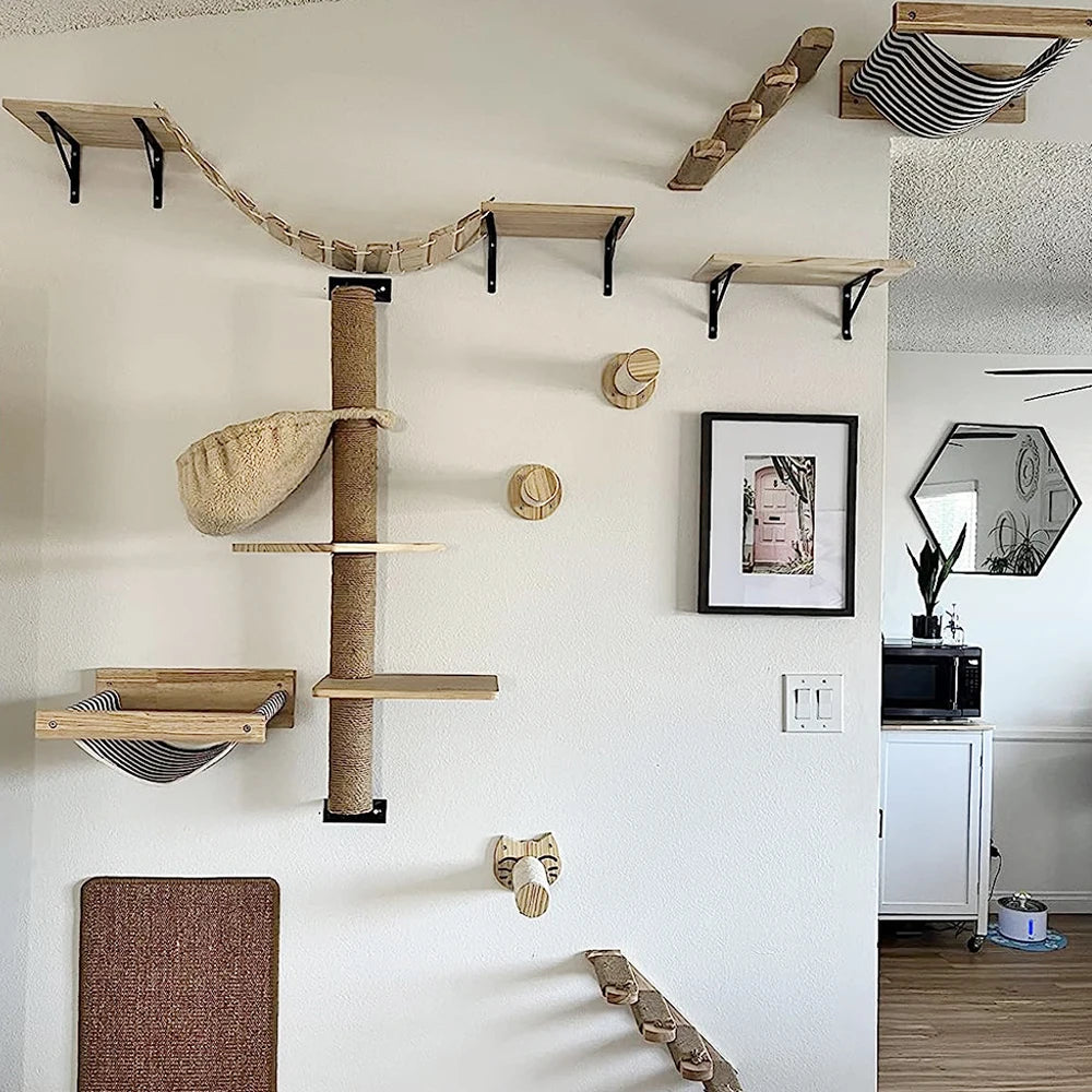 DIY Cat Highway