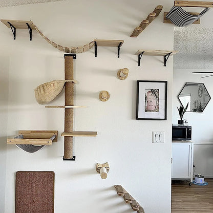 DIY Cat Highway