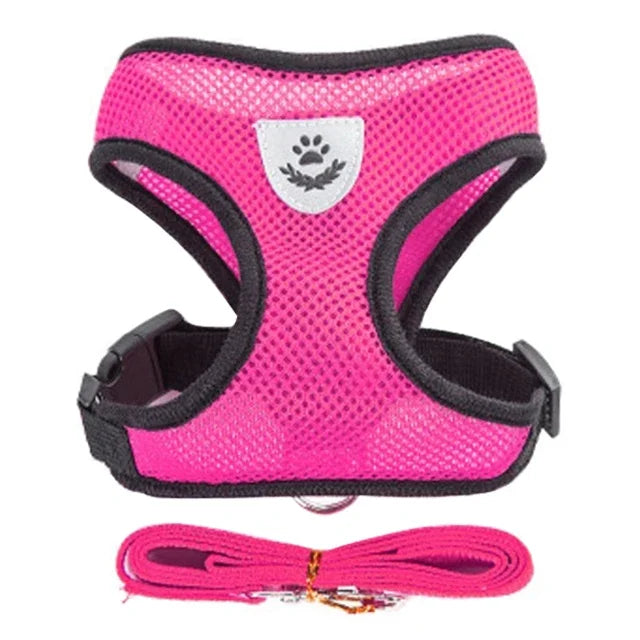 Adjustable Cat Harness and Leash Set