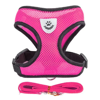 Adjustable Cat Harness and Leash Set