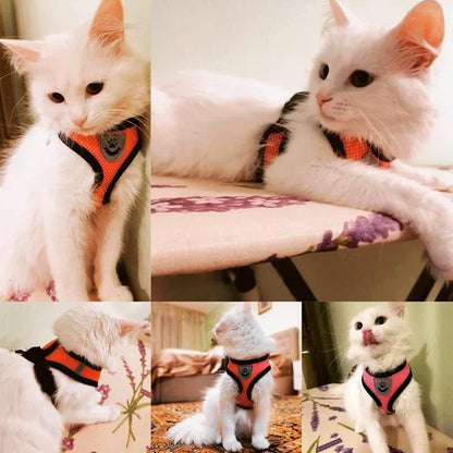 Adjustable Cat Harness and Leash Set