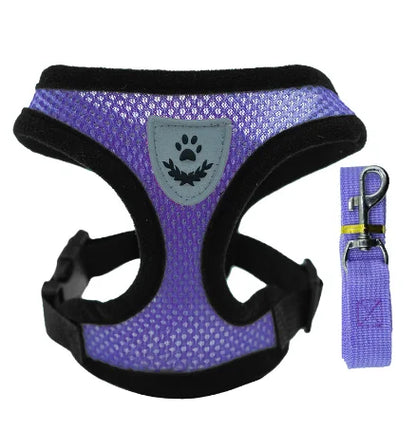 Adjustable Cat Harness and Leash Set