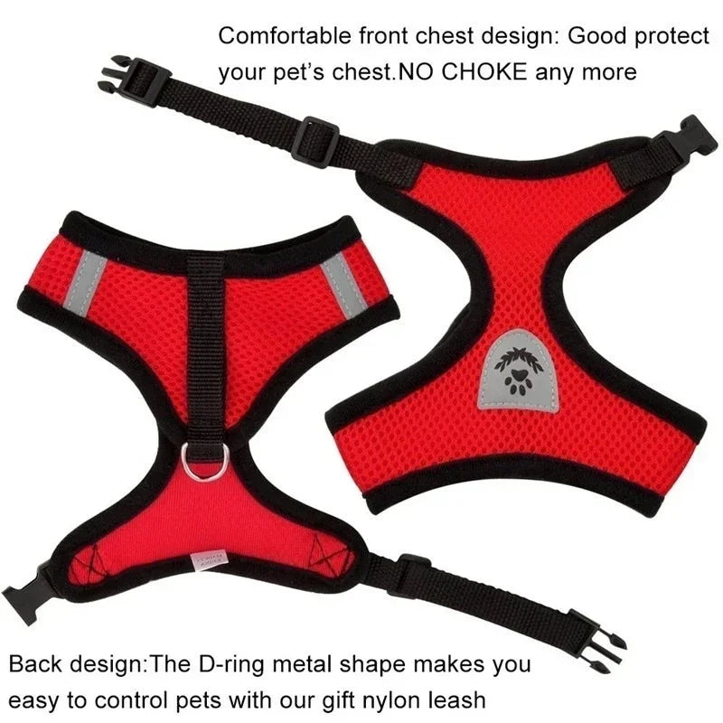 Adjustable Cat Harness and Leash Set