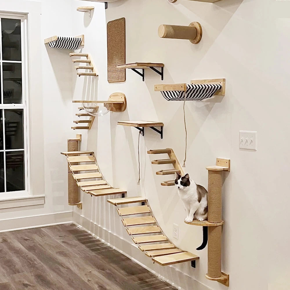 DIY Cat Highway