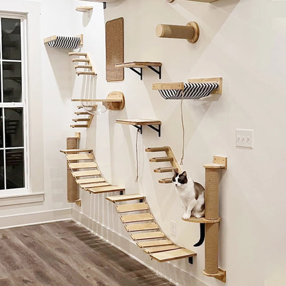 DIY Cat Highway
