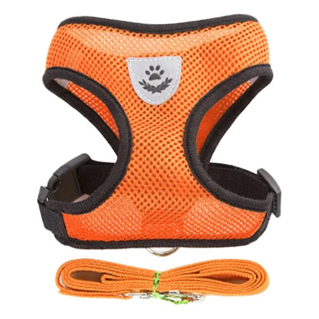 Adjustable Cat Harness and Leash Set