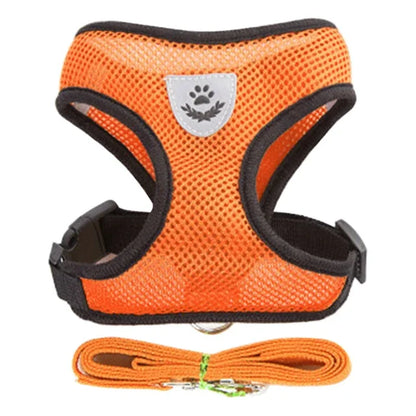 Adjustable Cat Harness and Leash Set