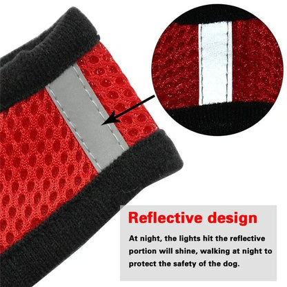 Adjustable Cat Harness and Leash Set