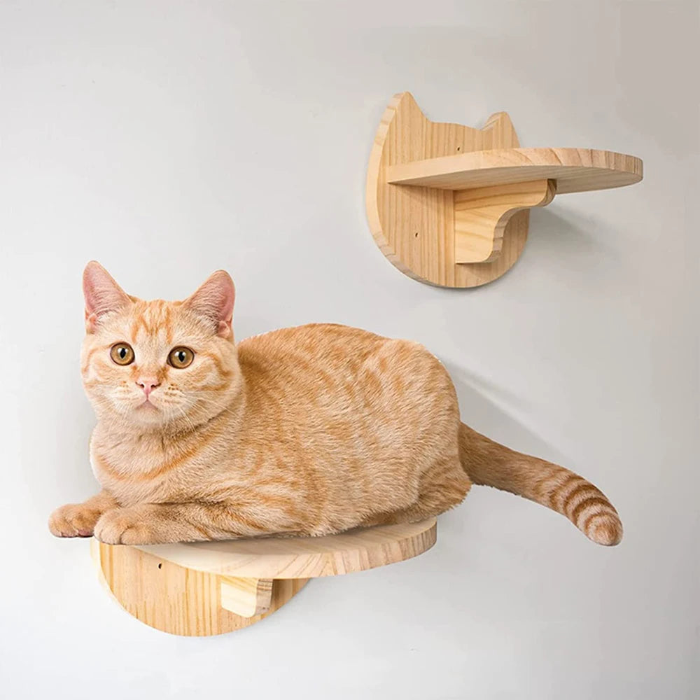 DIY Cat Highway