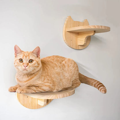 DIY Cat Highway