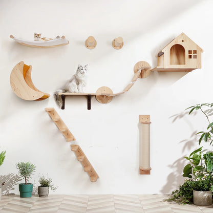 DIY Cat Highway