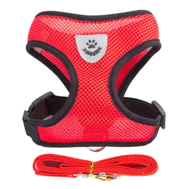 Adjustable Cat Harness and Leash Set