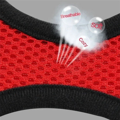 Adjustable Cat Harness and Leash Set