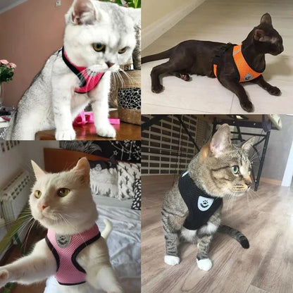 Adjustable Cat Harness and Leash Set