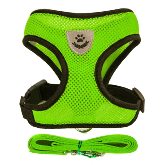 Adjustable Cat Harness and Leash Set