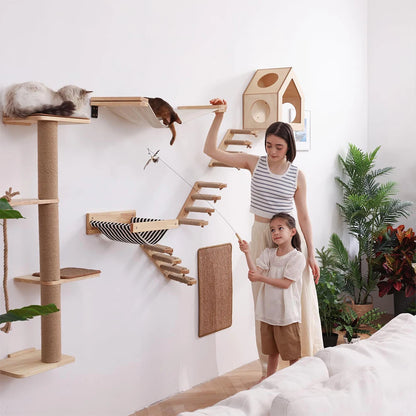 DIY Cat Highway