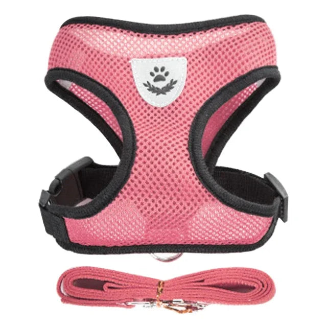 Adjustable Cat Harness and Leash Set