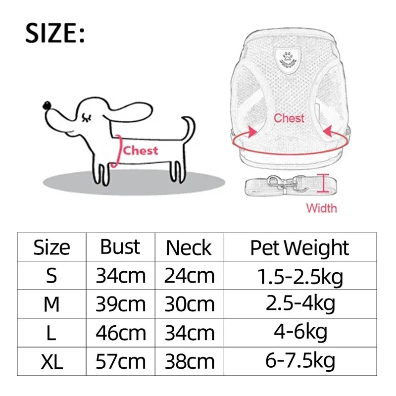 Adjustable Cat Harness and Leash Set