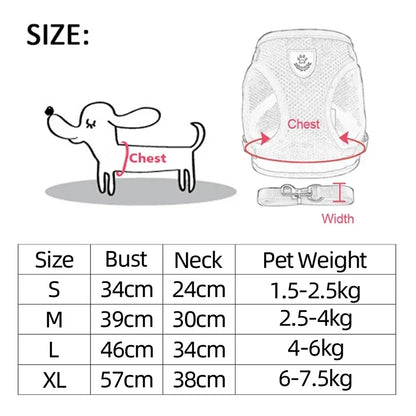 Adjustable Cat Harness and Leash Set