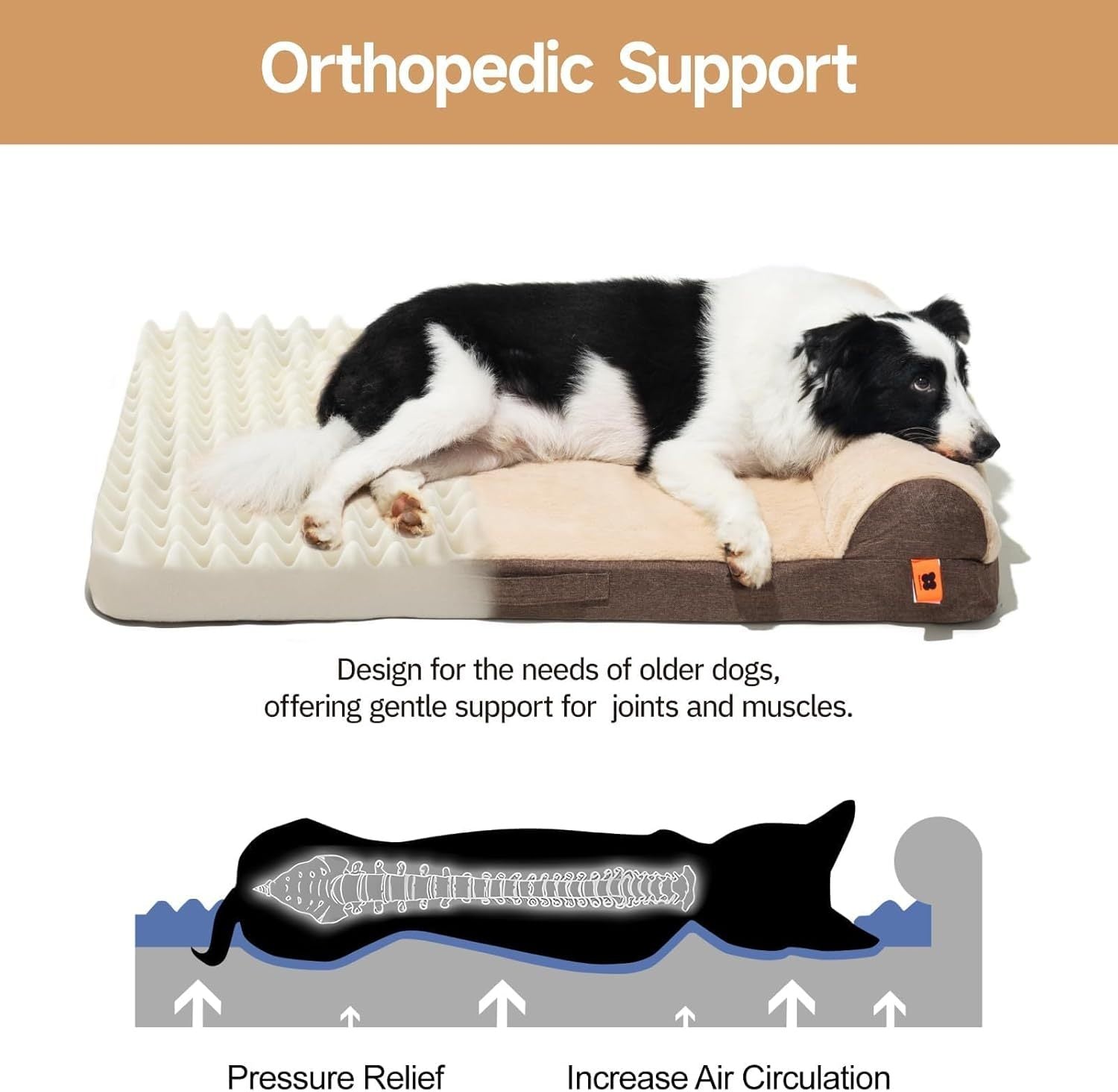 SanctuarySofa™ Orthopedic Bed – L