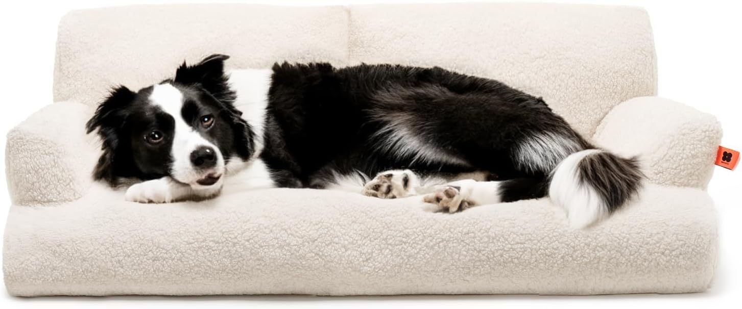SanctuaryLounge™ Orthopedic Sofa Bed – L