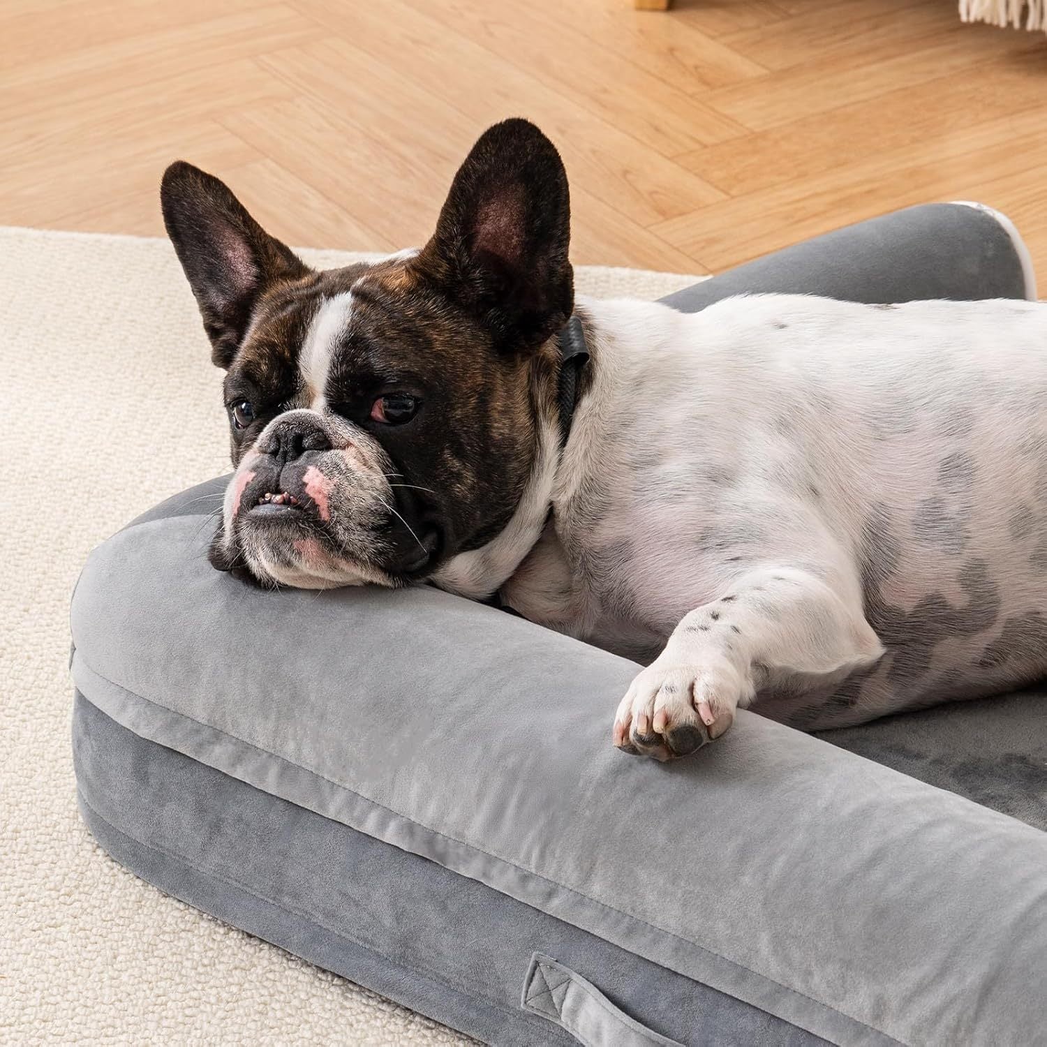 SanctuaryNest™ Orthopedic Bed – M