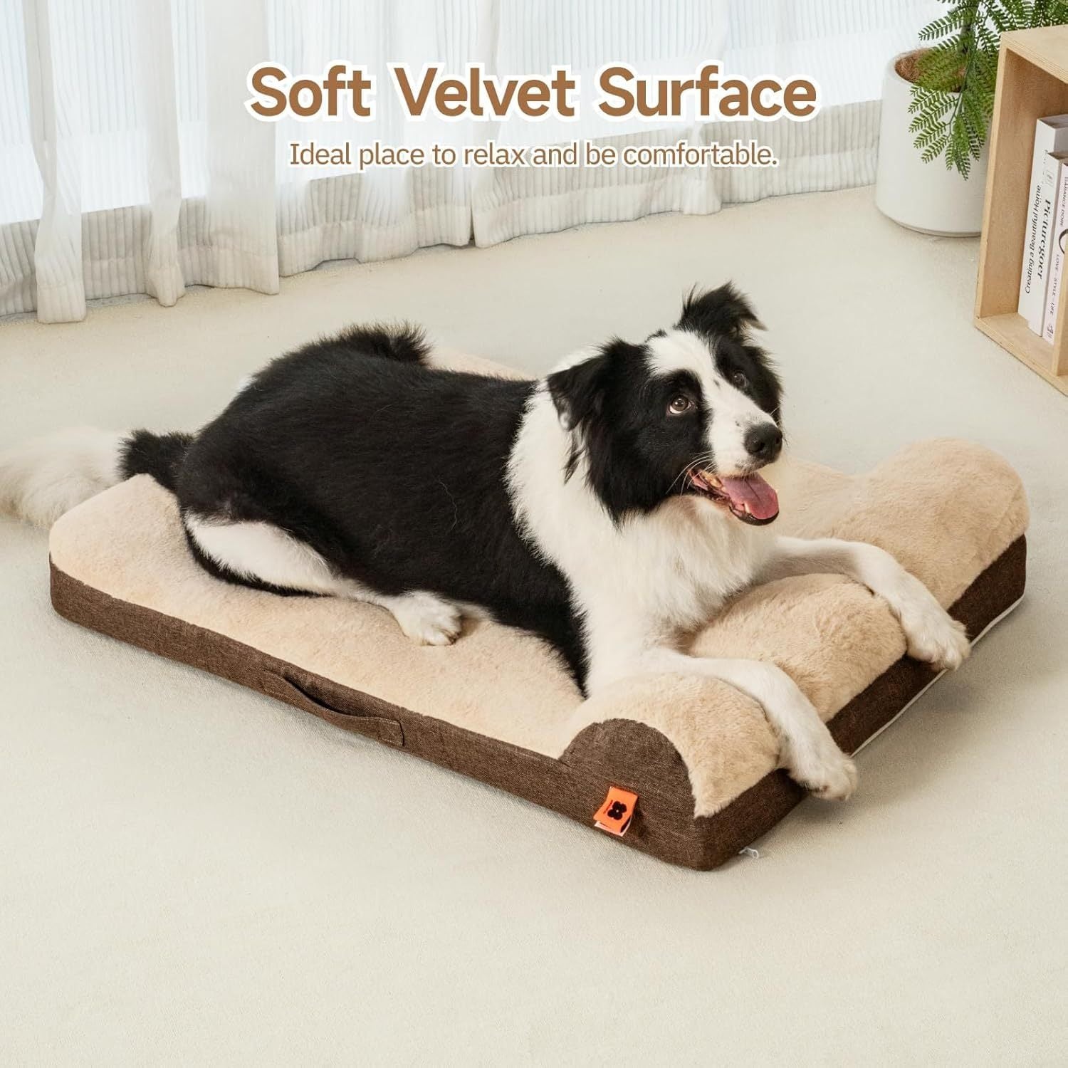 SanctuarySofa™ Orthopedic Bed – L