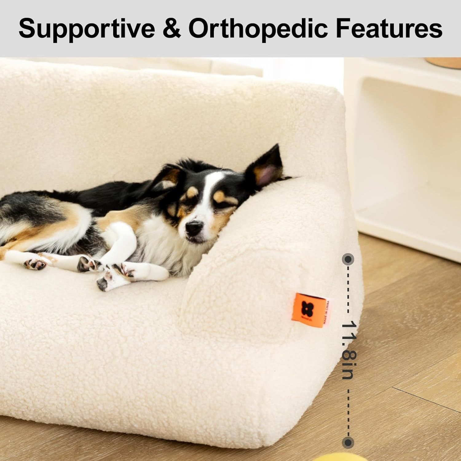 SanctuaryLounge™ Orthopedic Sofa Bed – L